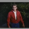 James Dean Jacket Rebel Without A Cause