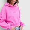 Project Gap Vintage Gap Pink Hoodie