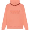 Fear of God Essentials Hoodie Carol