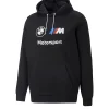 BMW M Motorsport Essentials Hoodie