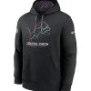 Detroit Lions 2024 NFL Crucial Catch Hoodie