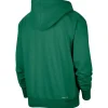 Kelly Green Boston Celtics Performance Pullover Hoodie Green