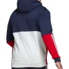 Essentials Colorblock Fleece Zip-Up Hoodie