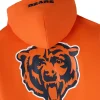 NFL Chicago Bears Icon Team Hoodie